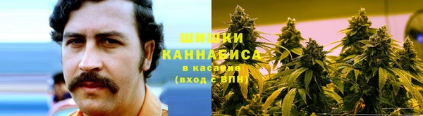 прущий лед Богородицк