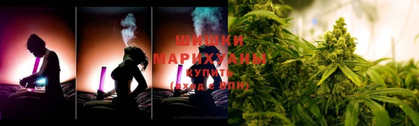 крисы Богородск