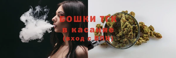 2c-b Богданович