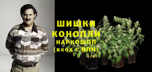 крисы Богородск